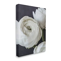 Stupell Industries Budding Ranunculus Flower Blooming Canvas Wall Art