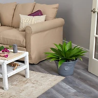 22" Agave Succulent Plant in Gray Planter