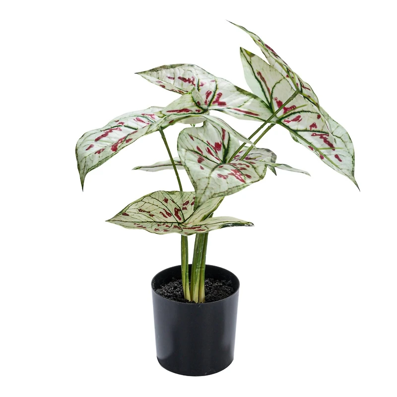 Hello Honey® 15" Green & Red Faux Elephant Ear Plant in Plastic Pot
