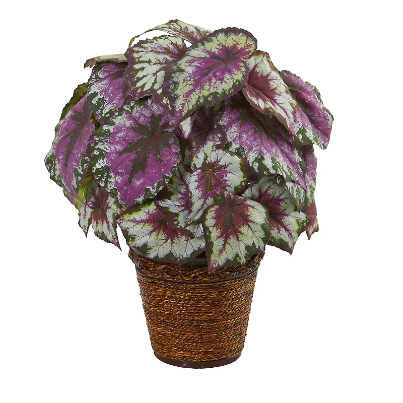 17" Wax Begonia Plant in Basket