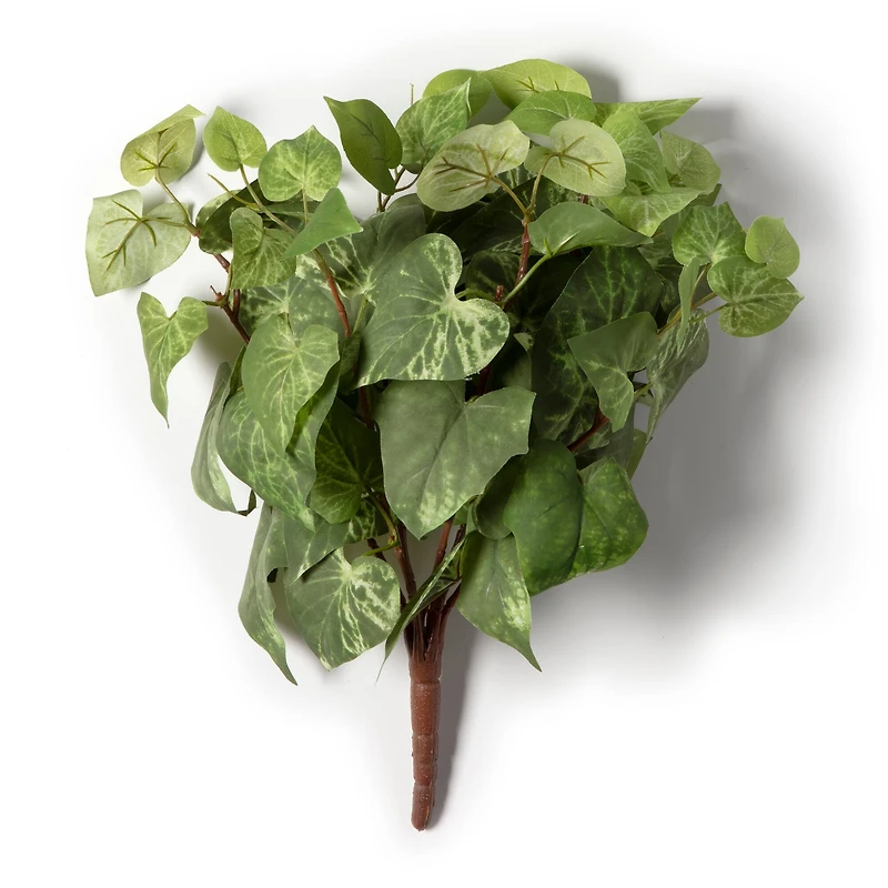 Potato Leaf Bush by Ashland®