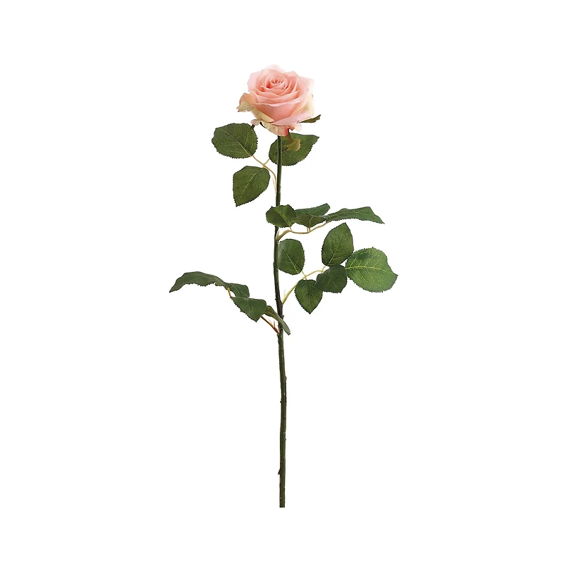 Peach & Cream Confetti Rose Spray