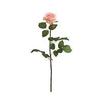 Peach & Cream Confetti Rose Spray