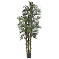 6ft. Potted Robellini Palm Tree