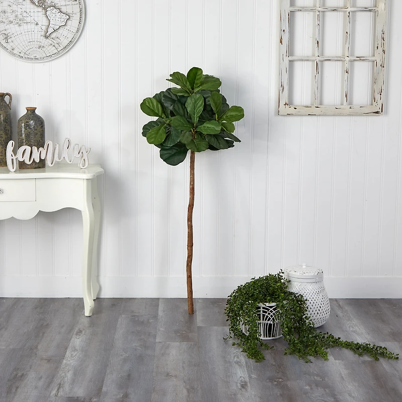 4.5ft. Fiddle Leaf Fig Tree