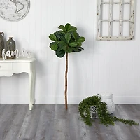 4.5ft. Fiddle Leaf Fig Tree