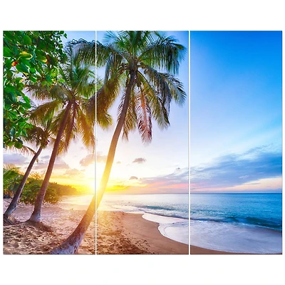 Designart - Pearl Beach in Guadeloupe