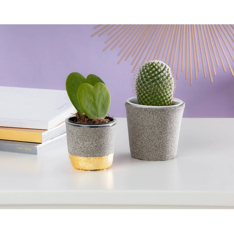 FIMO® Air 12.3oz. Granite-Effect Air-Dry Modeling Clay