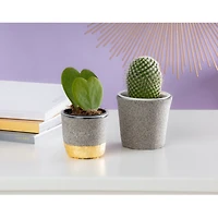 FIMO® Air 12.3oz. Granite-Effect Air-Dry Modeling Clay