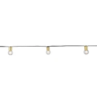 12ct. Gold Globe Warm White LED String Lights by Ashland®
