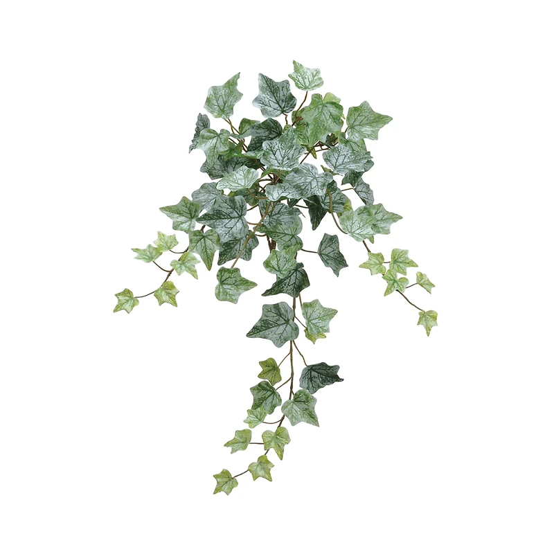 Green Frost One-Piece Ivy Bush