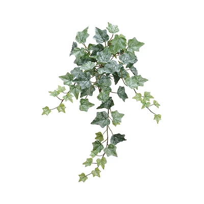 Green Frost One-Piece Ivy Bush