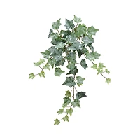 Green Frost One-Piece Ivy Bush