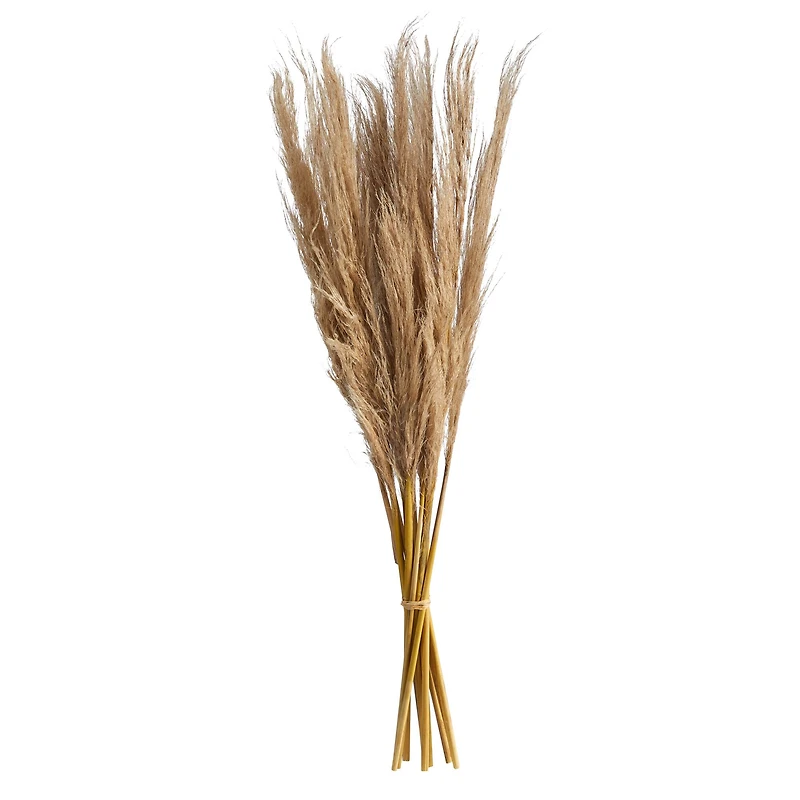 3ft. Dried Natural Pampas Grass Bundle, 2ct.