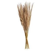 3ft. Dried Natural Pampas Grass Bundle, 2ct.