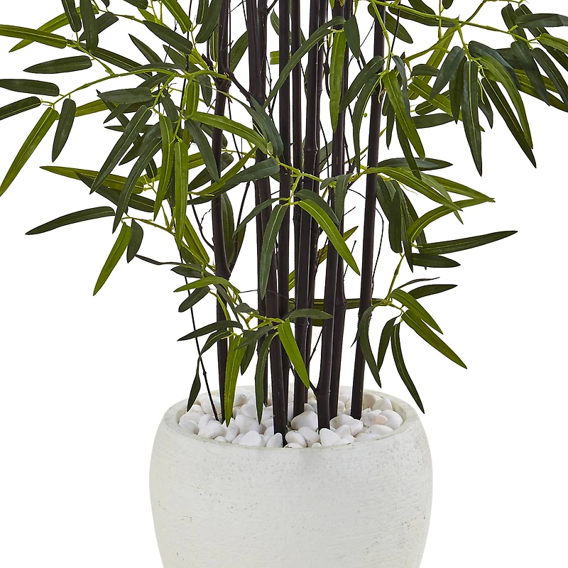 5ft. Black Bamboo Tree in White Oval Planter