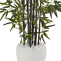 5ft. Black Bamboo Tree in White Oval Planter