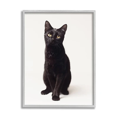 Stupell Industries Cute Black Cat Expressive Eyes Pet Portrait in Frame Wall Art