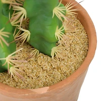 Hello Honey® 18" Cereus Cactus in Terra Cotta Colored Pot