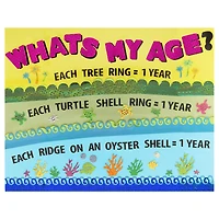 ArtSkills® 1" to 2" Black 250 Piece Vinyl Poster Letter Set