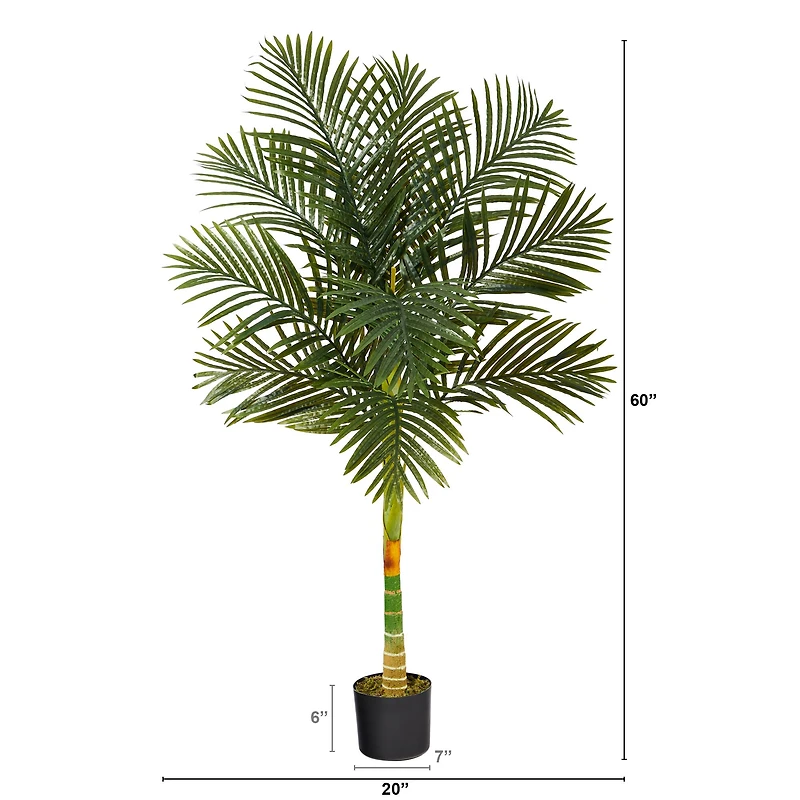 5ft. Potted Golden Cane Palm Tree