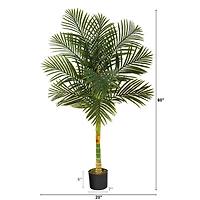 5ft. Potted Golden Cane Palm Tree