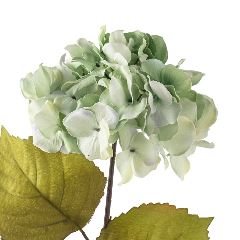 Seafoam Green Hydrangea Stem by Ashland®