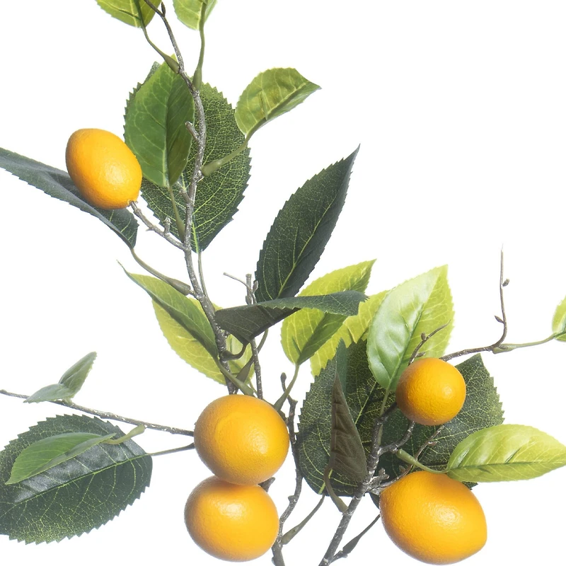 31" Lemon Branch by Ashland®