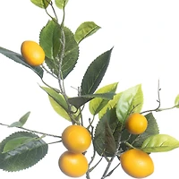 31" Lemon Branch by Ashland®