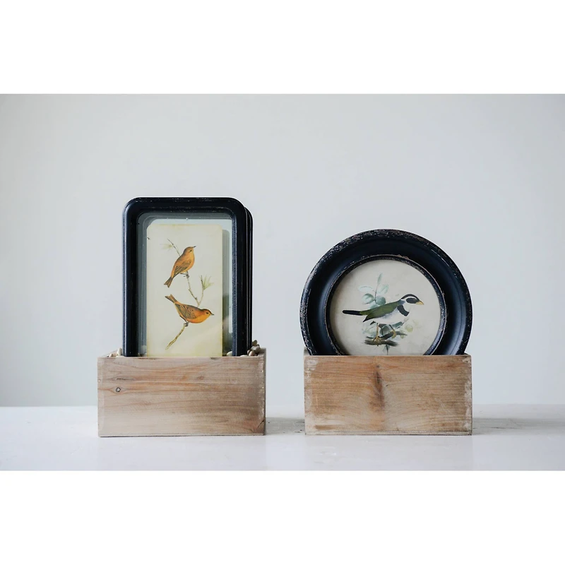 Hello Honey® Bird Art Framed Wall Décor Set