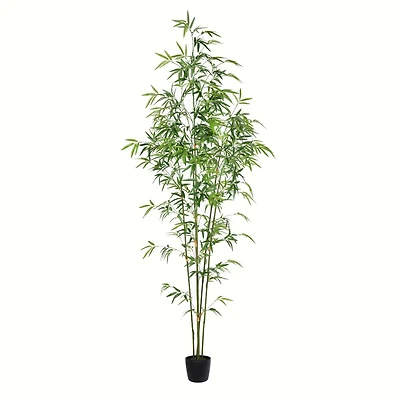 6ft. Potted Mini Bamboo Tree