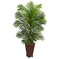 5ft. Kentia Palm Tree in Decorative Planter