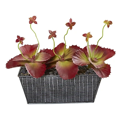 10" Succulent Plant in Embossed Tin Planter