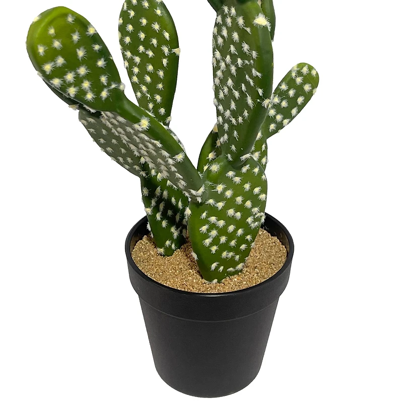 16" Potted Cactus Plant by Ashland®