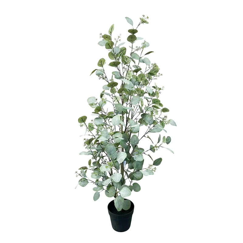 4ft. Potted Seeded Eucalyptus Tree by Ashland®