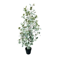 4ft. Potted Seeded Eucalyptus Tree by Ashland®