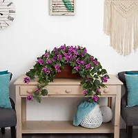18" Bougainvillea Plant in Decorative Planter