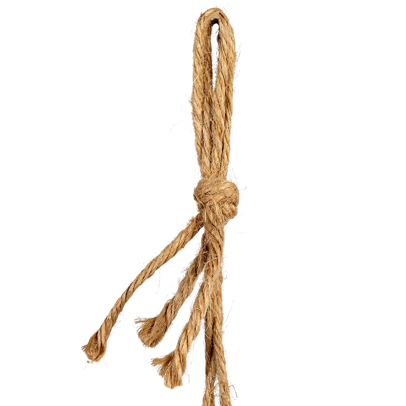 Hello Honey® 7.5" Ivory Hanging Stoneware Seashell Planter with Rope