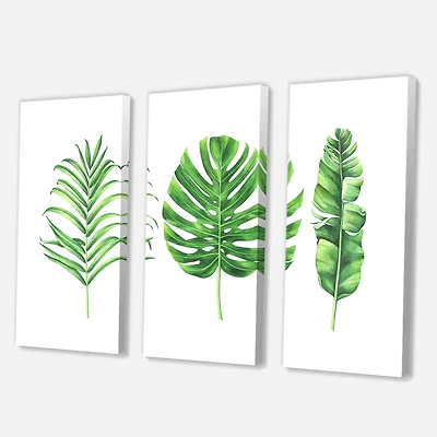 Designart - Tropical Leaf Of Monstera IV