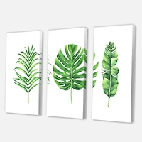 Designart - Tropical Leaf Of Monstera IV