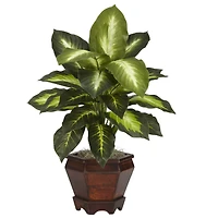 20.5" Assorted Dieffenbachia In Wood Vase, 2ct.