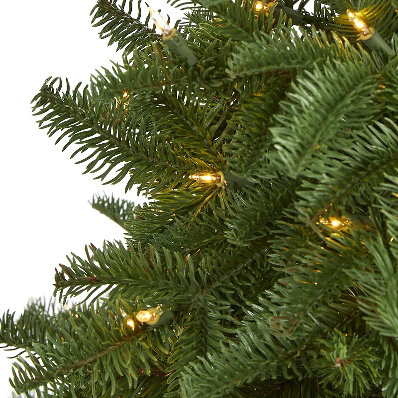 3ft. Pre-Lit South Carolina Spruce Artificial Christmas Tree, White Warm Lights