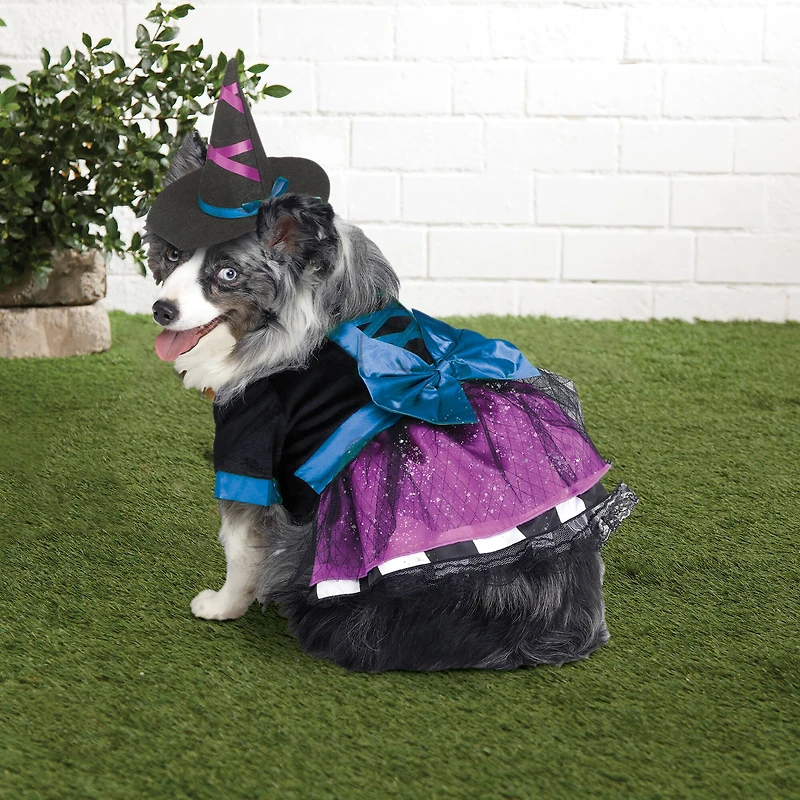 Witch Dog Costume by Ashland®