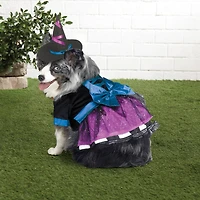 Witch Dog Costume by Ashland®