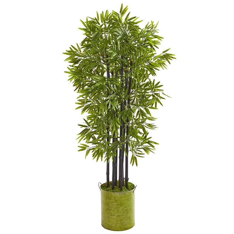 5ft. Bamboo Tree with Black Trunks in Green Tin Planter