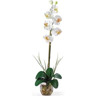 2.3ft. Cream Orchid Arrangement with Vase