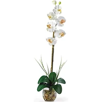 2.3ft. Cream Orchid Arrangement with Vase