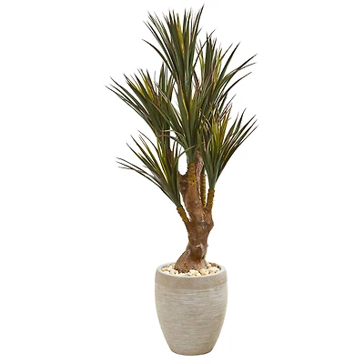 4ft. Yucca Tree in Planter