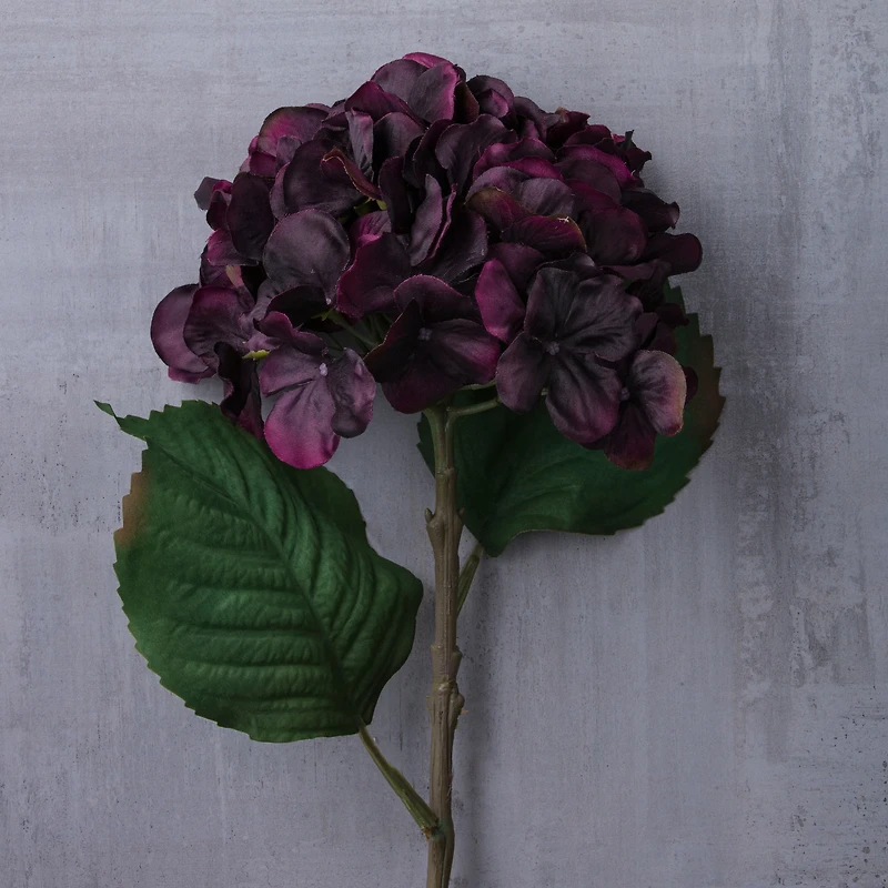 Black & Purple Hydrangea Stem by Ashland®