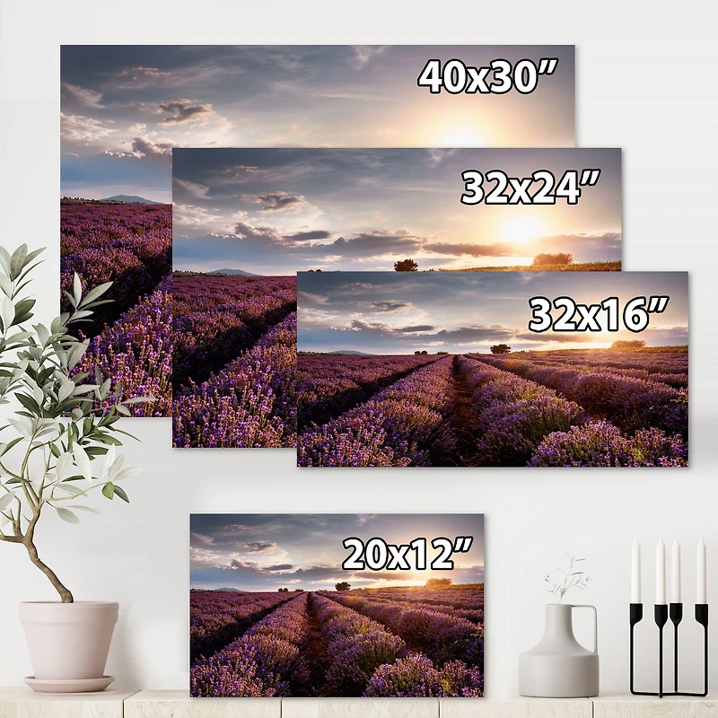Designart - Sunrise & Dramatic Clouds Over Lavender Field V